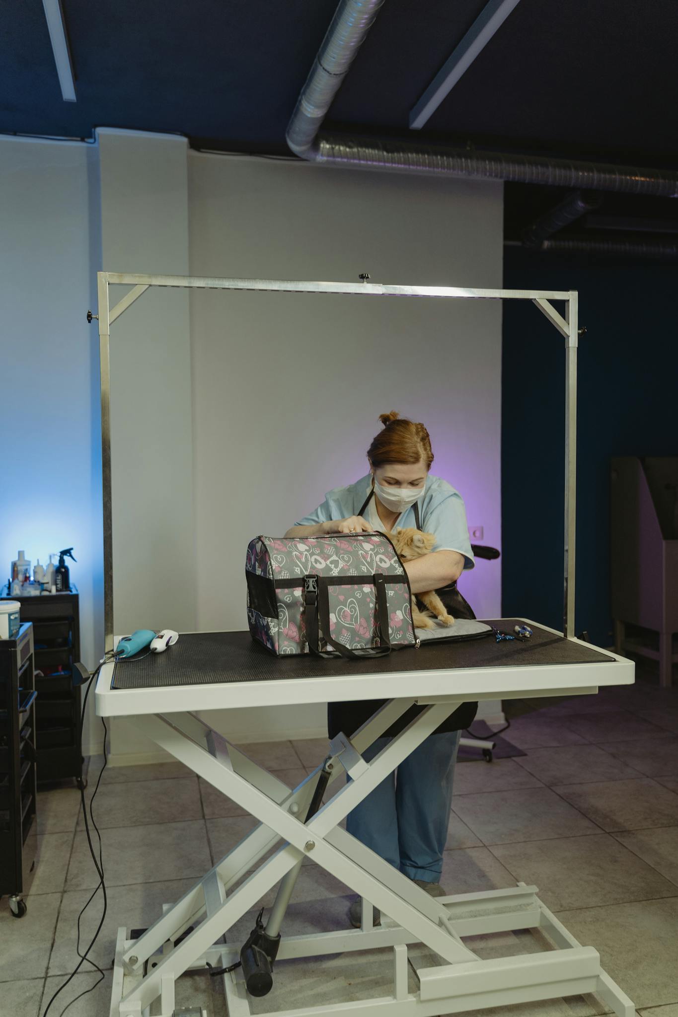 A professional groomer trimming a cat's fur at a pet salon indoors.